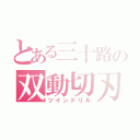 とある三十路の双動切刃（ツインドリル）