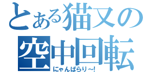 とある猫又の空中回転（にゃんぱらり～！）