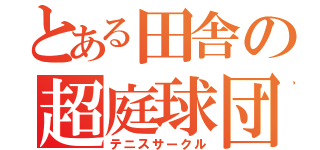 とある田舎の超庭球団（テニスサークル）