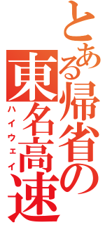 とある帰省の東名高速（ハイウェイ）