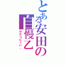 とある安田の自慢乙（分かりにくい。）