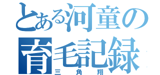 とある河童の育毛記録（三 角 翔）