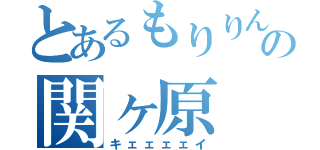 とあるもりりんの関ヶ原（キェェェェイ）