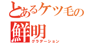 とあるケツ毛の鮮明（グラデーション）