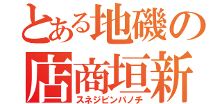 とある地磯の店商垣新（スネジビンパノチ）