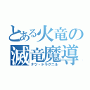 とある火竜の滅竜魔導士（ナツ・ドラグニル）