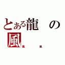 とある龍の風（鳳凰）