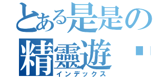 とある是是の精靈遊俠（インデックス）