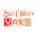 とある白猫の兄貴変態（壁一つだけど、携帯で連絡）