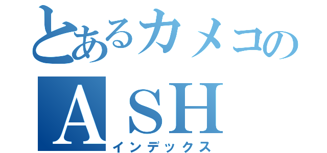 とあるカメコのＡＳＨ（インデックス）