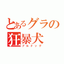 とあるグラの狂暴犬（ブルドッグ）