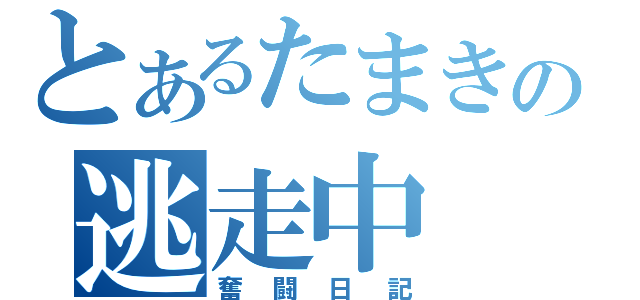 とあるたまきの逃走中（奮闘日記）