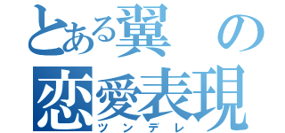 とある翼の恋愛表現（ツンデレ）