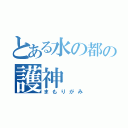 とある水の都の護神（まもりがみ）