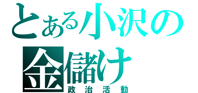 とある小沢の金儲け（政治活動）