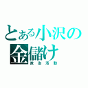 とある小沢の金儲け（政治活動）