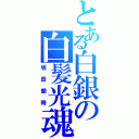 とある白銀の白髪光魂（坂田銀時）