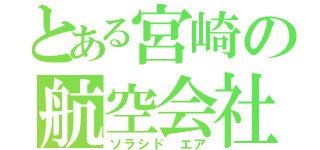 とある宮崎の航空会社（ソラシド エア）