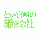 とある宮崎の航空会社（ソラシド エア）