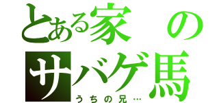 とある家のサバゲ馬鹿（うちの兄…）