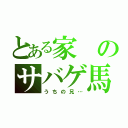 とある家のサバゲ馬鹿（うちの兄…）