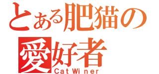 とある肥猫の愛好者（ＣａｔＷｉｎｅｒ）