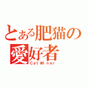 とある肥猫の愛好者（ＣａｔＷｉｎｅｒ）