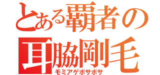 とある覇者の耳脇剛毛（モミアゲボサボサ）