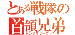 とある戦隊の首領兄弟（ドンブラザーズ）