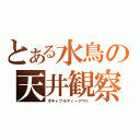 とある水鳥の天井観察（ボキャブルティーアウト）