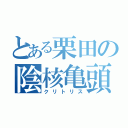 とある栗田の陰核亀頭（クリトリス）