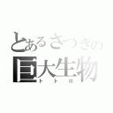 とあるさつきの巨大生物（トトロ）