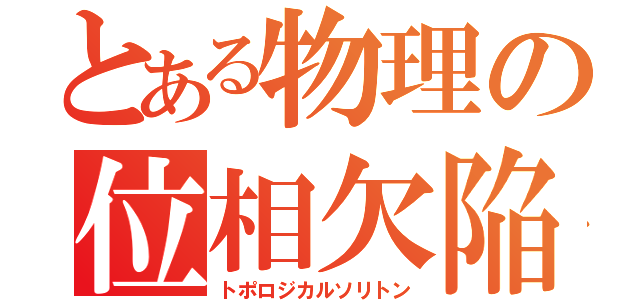 とある物理の位相欠陥（トポロジカルソリトン）