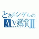 とあるシゲルのＡＶ鑑賞Ⅱ（ビデオチェック）