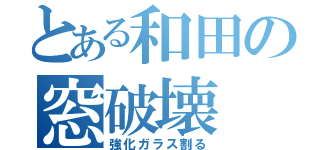 とある和田の窓破壊（強化ガラス割る）