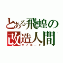 とある飛蝗の改造人間（サイボーグ）