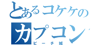 とあるコケケのカプコン（ピーチ城）