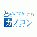 とあるコケケのカプコン（ピーチ城）