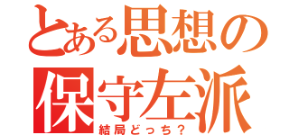 とある思想の保守左派（結局どっち？）