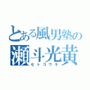 とある風男塾の瀬斗光黄（セトコウキ）