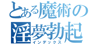 とある魔術の淫夢勃起（インデックス）