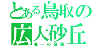 とある鳥取の広大砂丘（唯一の自慢）