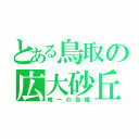 とある鳥取の広大砂丘（唯一の自慢）