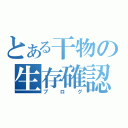 とある干物の生存確認（ブログ）