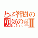 とある智樹の勇気の証Ⅱ（新しい旅を）