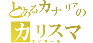 とあるカナリアののカリスマ軍団（ネイマール）