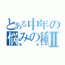 とある中年の悩みの種Ⅱ（薄毛）