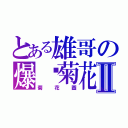 とある雄哥の爆伱菊花Ⅱ（菊花圖）