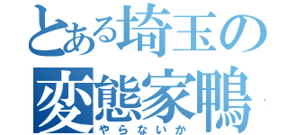 とある埼玉の変態家鴨（やらないか）