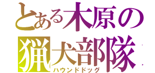 とある木原の猟犬部隊（ハウンドドッグ）